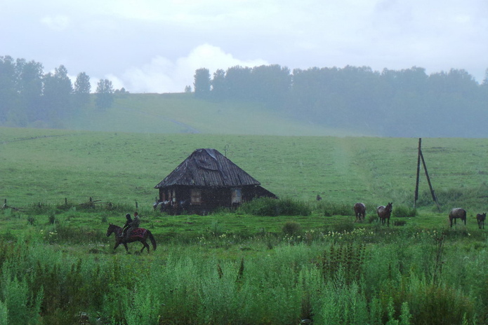 Чаще болеют насморком